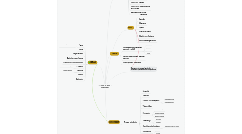 Mind Map: ESTILOS DE VIDA Y CONSUMO