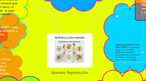 Mind Map: Aparato Reproductor