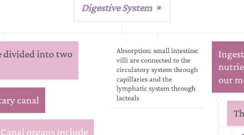 Mind Map: Digestive System