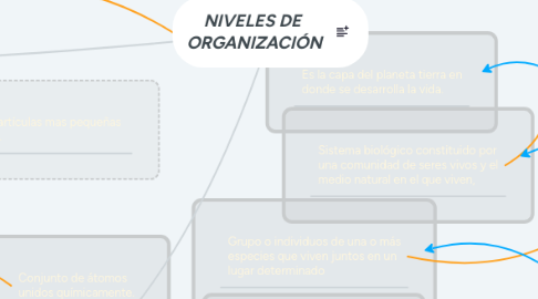 Mind Map: NIVELES DE  ORGANIZACIÓN