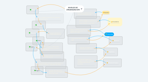 Mind Map: NIVELES DE  ORGANIZACIÓN