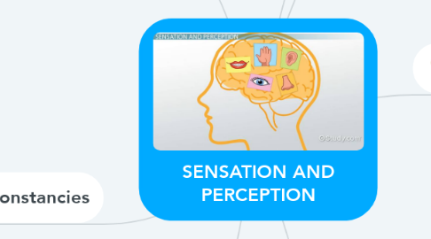 Mind Map: SENSATION AND PERCEPTION