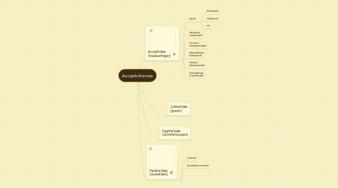 Mind Map: Accipitriformes