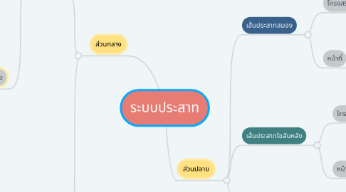 Mind Map: ระบบประสาท