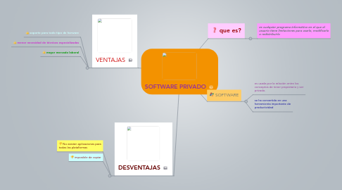 Mind Map: SOFTWARE PRIVADO