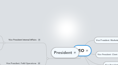 Mind Map: CEO