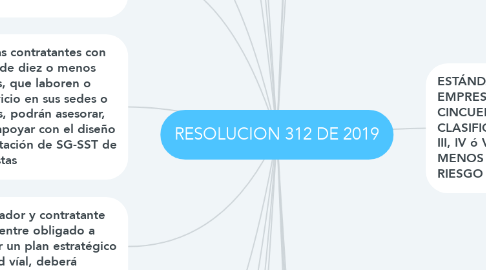 Mind Map: RESOLUCION 312 DE 2019