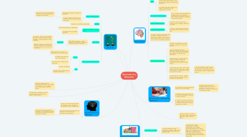 Mind Map: Neurociencia y Educación