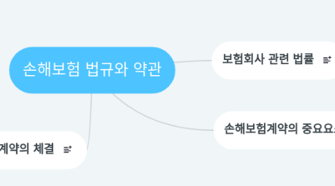 Mind Map: 손해보험 법규와 약관