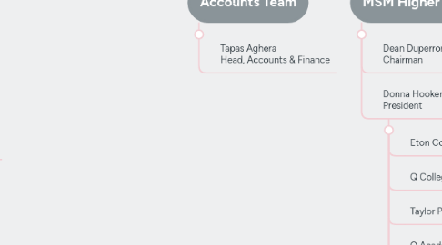 Mind Map: SANJAY LAUL CEO