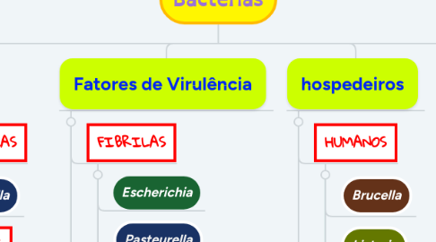 Mind Map: Bactérias