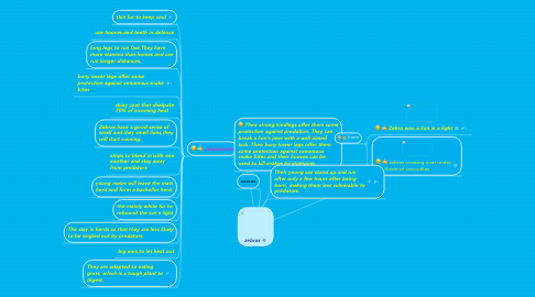 Mind Map: zebras