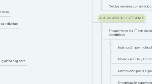 Mind Map: INMUNIDAD ADAPTATIVA