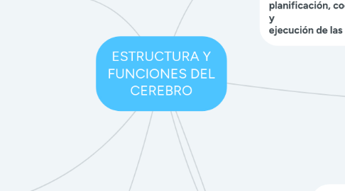 Mind Map: ESTRUCTURA Y FUNCIONES DEL CEREBRO