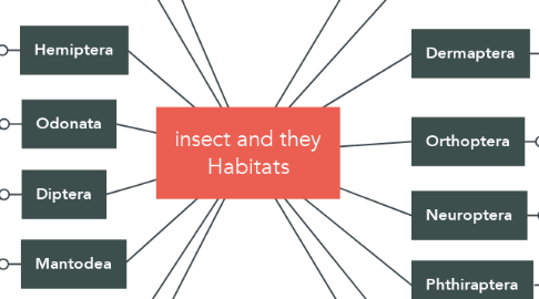Mind Map: insect and they Habitats