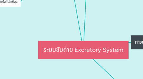 Mind Map: ระบบขับถ่าย Excretory System