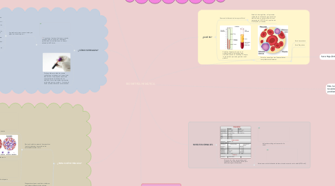 Mind Map: BIOMETRÍA HEMÁTICA