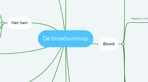 Mind Map: De bloedsomloop