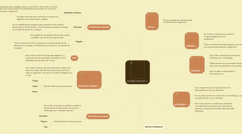 Mind Map: SISTEMA DIGESTIVO