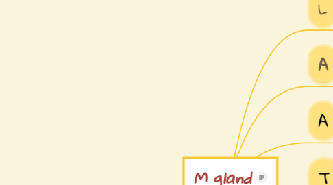 Mind Map: M gland