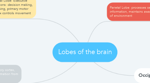 Mind Map: Lobes of the brain