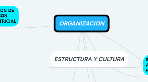 Mind Map: ORGANIZACION