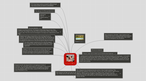 Mind Map: Kangaroo