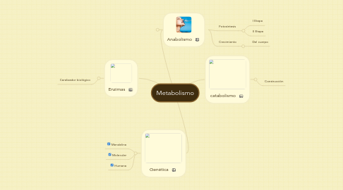 Mind Map: Metabolismo