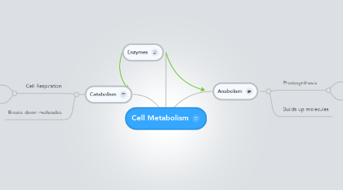 Mind Map: Cell Metabolism