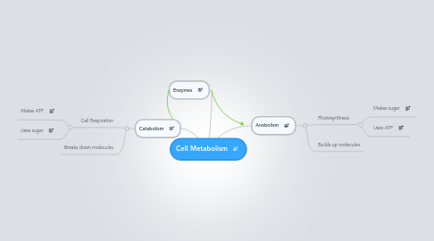 Mind Map: Cell Metabolism