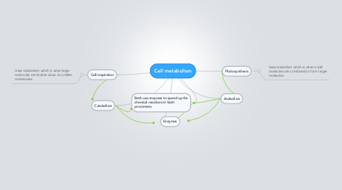 Mind Map: Cell metabolism