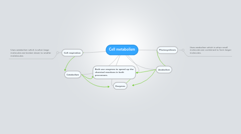 Mind Map: Cell metabolism