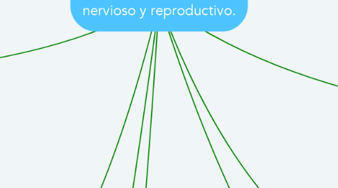 Mind Map: Relación del sistema nervioso y reproductivo.