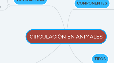 Mind Map: CIRCULACIÓN EN ANIMALES