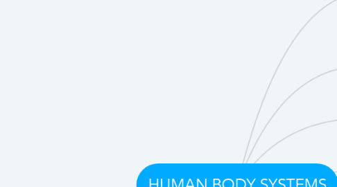 Mind Map: HUMAN BODY SYSTEMS