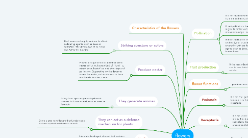 Mind Map: flowers