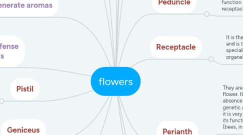 Mind Map: flowers