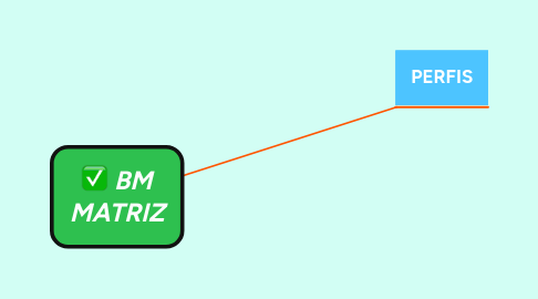 Mind Map: BM MATRIZ