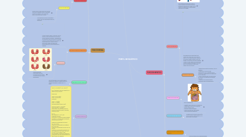 Mind Map: PERFIL BIOQUÍMICO