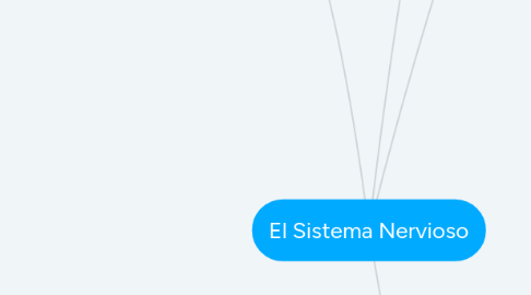 Mind Map: El Sistema Nervioso