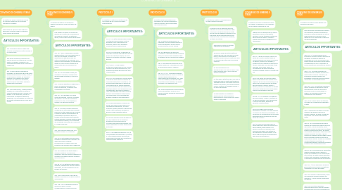 Mind Map: CONVENIO DE GINEBRA