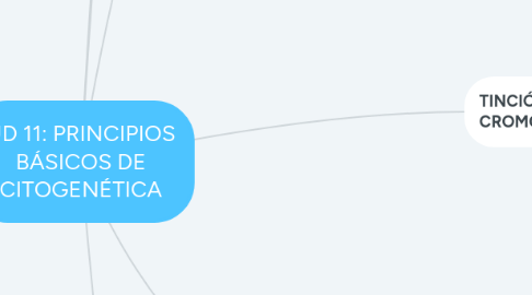 Mind Map: UD 11: PRINCIPIOS BÁSICOS DE CITOGENÉTICA