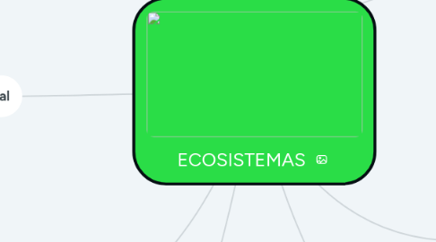 Mind Map: ECOSISTEMAS