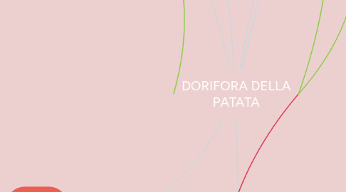 Mind Map: DORIFORA DELLA PATATA