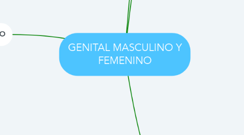 Mind Map: GENITAL MASCULINO Y FEMENINO