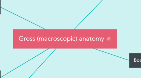 Mind Map: Gross (macroscopic) anatomy