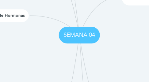 Mind Map: SEMANA 04