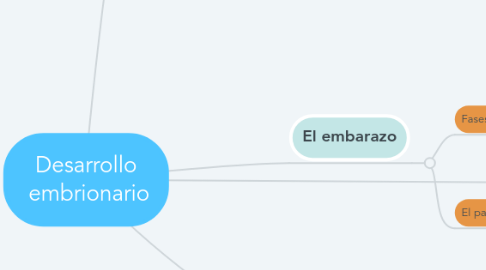 Mind Map: Desarrollo embrionario
