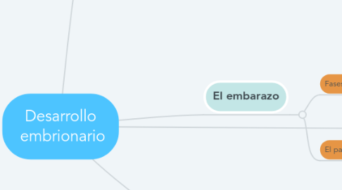 Mind Map: Desarrollo  embrionario