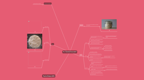 Mind Map: Pre - fermentos (masa madre)